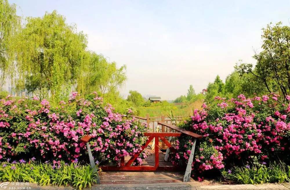 ◆西安西咸灃東灃河生態(tài)景區(qū)(AAA級旅游景區(qū))