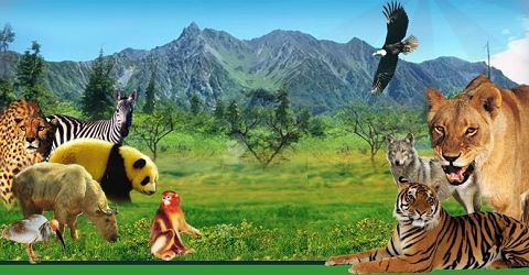 ◆西安秦嶺野生動(dòng)物園(AAAA級(jí)旅游景區(qū))